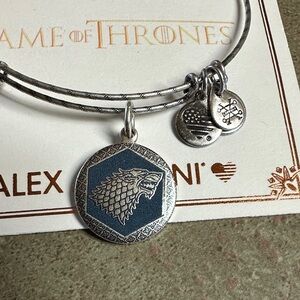 Alex and Ani Silver Game Of Thrones House Stark Winter Is Coming Direwolf Charms
